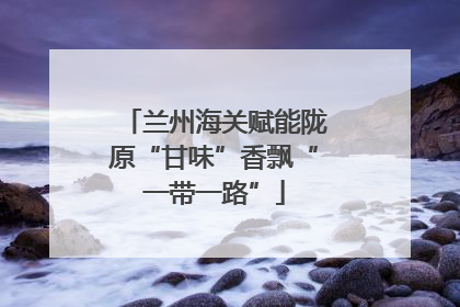 兰州海关赋能陇原“甘味”香飘“一带一路”