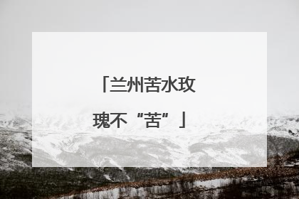 兰州苦水玫瑰不“苦”