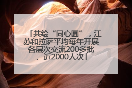 共绘“同心圆”，江苏和拉萨平均每年开展各层次交流200多批、近2000人次