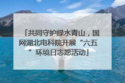 共同守护绿水青山，国网湖北电科院开展“六五”环境日志愿活动