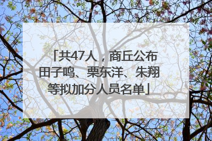 共47人，商丘公布田子鸣、栗东洋、朱翔等拟加分人员名单