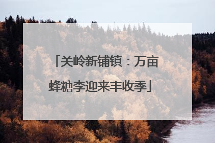关岭新铺镇：万亩蜂糖李迎来丰收季