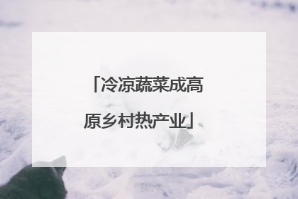 冷凉蔬菜成高原乡村热产业