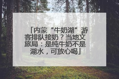 内蒙“牛奶湖”游客排队接奶？当地文旅局：是纯牛奶不是湖水，可放心喝