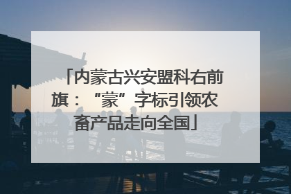 内蒙古兴安盟科右前旗：“蒙”字标引领农畜产品走向全国