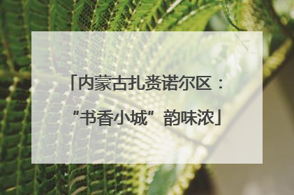 内蒙古扎赉诺尔区：“书香小城”韵味浓