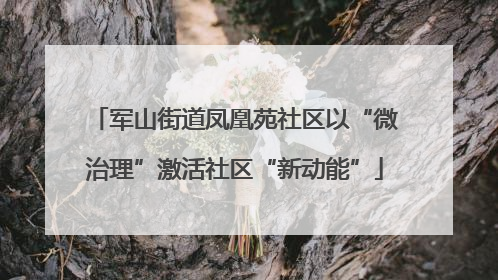 军山街道凤凰苑社区以“微治理”激活社区“新动能”
