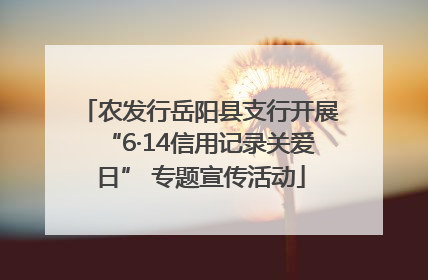 农发行岳阳县支行开展“6·14信用记录关爱日” 专题宣传活动