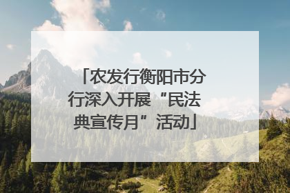 农发行衡阳市分行深入开展“民法典宣传月”活动