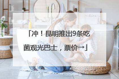 冲！昆明推出9条吃菌观光巴士，票价→