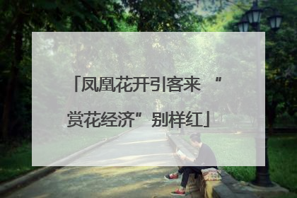 凤凰花开引客来 “赏花经济”别样红