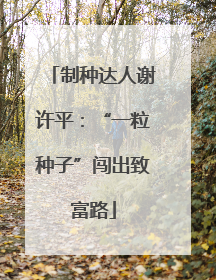 制种达人谢许平：“一粒种子”闯出致富路