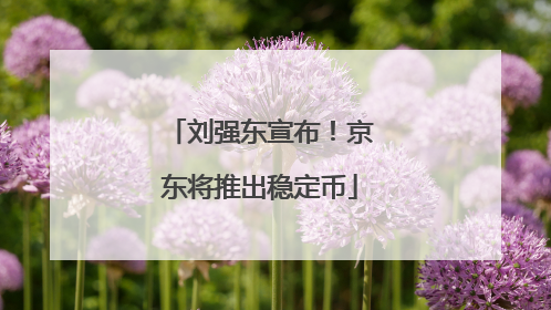 刘强东宣布！京东将推出稳定币