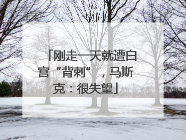 刚走一天就遭白宫“背刺”，马斯克：很失望