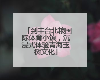 到丰台北粮国际体育小镇，沉浸式体验青海玉树文化