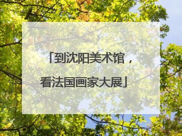 到沈阳美术馆，看法国画家大展