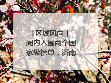 区域风向｜一周内入围两个国家级榜单，济南“显性增长”刷新城市影响力