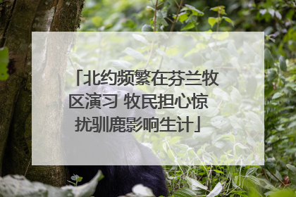 北约频繁在芬兰牧区演习 牧民担心惊扰驯鹿影响生计