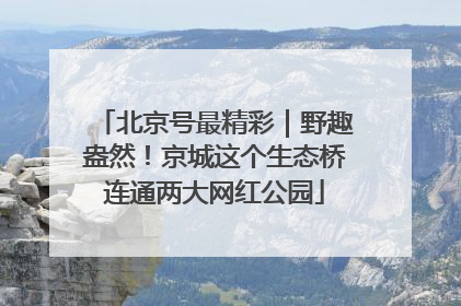 北京号最精彩｜野趣盎然！京城这个生态桥连通两大网红公园