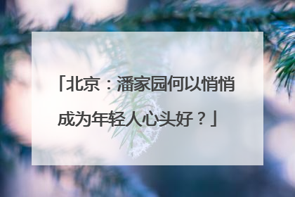 北京：潘家园何以悄悄成为年轻人心头好？