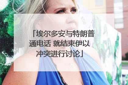 埃尔多安与特朗普通电话 就结束伊以冲突进行讨论