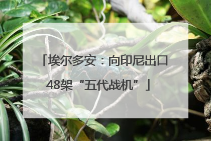 埃尔多安：向印尼出口48架“五代战机”