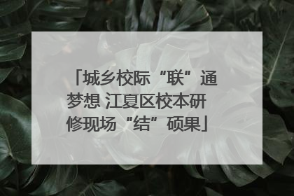 城乡校际“联”通梦想 江夏区校本研修现场“结”硕果