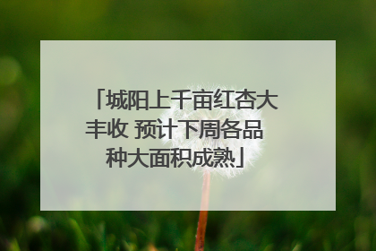 城阳上千亩红杏大丰收 预计下周各品种大面积成熟