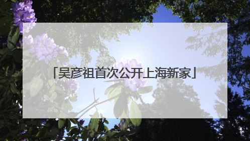 吴彦祖首次公开上海新家