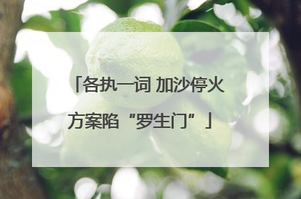 各执一词 加沙停火方案陷“罗生门”
