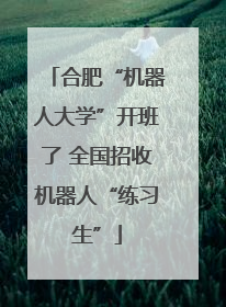 合肥“机器人大学”开班了 全国招收机器人“练习生”