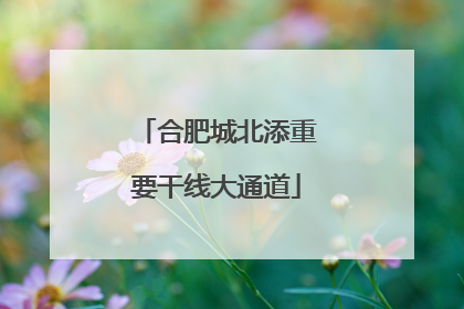 合肥城北添重要干线大通道