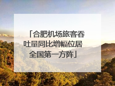 合肥机场旅客吞吐量同比增幅位居全国第一方阵