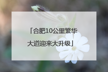 合肥10公里繁华大道迎来大升级