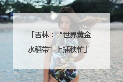 吉林：“世界黄金水稻带”上插秧忙