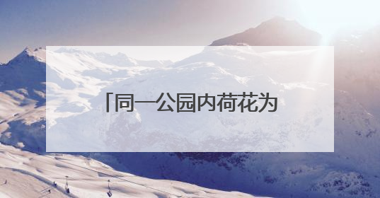 同一公园内荷花为何不同时盛开 业内人士：受多因素影响 属正常现象