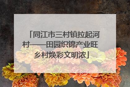 同江市三村镇拉起河村——田园织锦产业旺 乡村焕彩文明浓