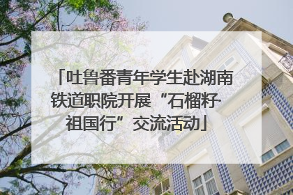 吐鲁番青年学生赴湖南铁道职院开展“石榴籽·祖国行”交流活动