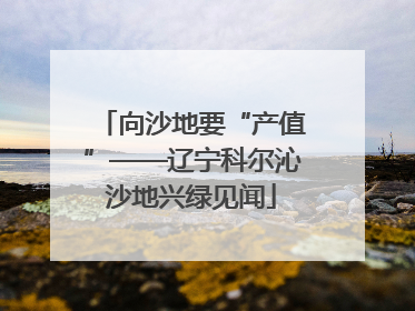 向沙地要“产值”——辽宁科尔沁沙地兴绿见闻