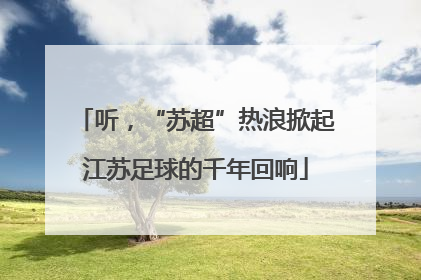 听，“苏超”热浪掀起江苏足球的千年回响