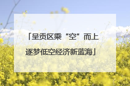 呈贡区乘“空”而上 逐梦低空经济新蓝海