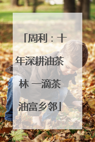 周利：十年深耕油茶林 一滴茶油富乡邻
