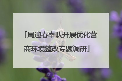 周迎春率队开展优化营商环境整改专题调研