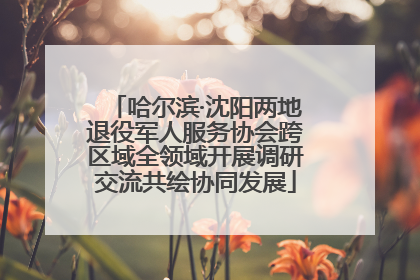 哈尔滨·沈阳两地退役军人服务协会跨区域全领域开展调研交流共绘协同发展