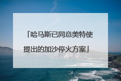 哈马斯已同意美特使提出的加沙停火方案