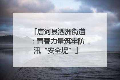 唐河县泗洲街道：青春力量筑牢防汛“安全堤”