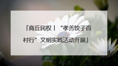 商丘民权丨“孝善饺子百村行”文明实践活动开展