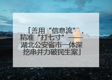 善用“信息流”，精准“打七寸”——湖北公安省市一体深挖串并力破民生案