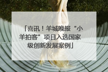 喜讯！羊城晚报“小羊拍客”项目入选国家级创新发展案例