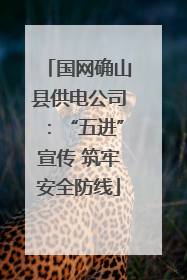 国网确山县供电公司：“五进”宣传 筑牢安全防线